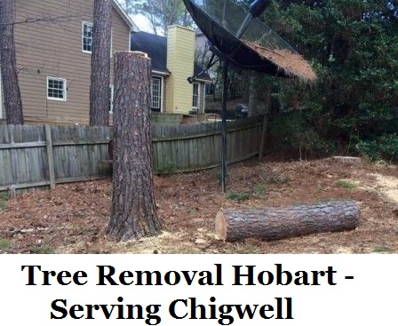 Tree Removal Hobart Chigwell