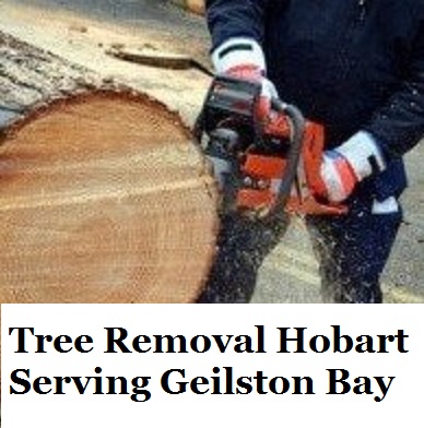 Tree Removal Hobart Geilston Bay