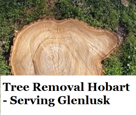 Tree Removal Hobart Glenlusk