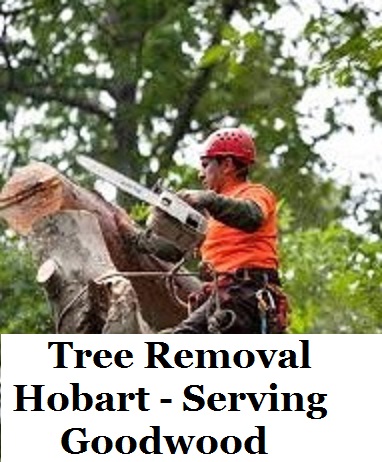 Tree Removal Hobart Goodwood