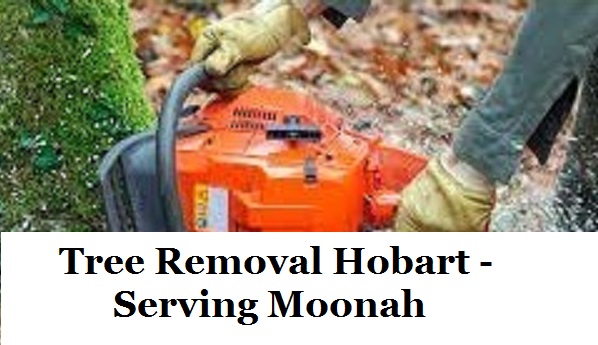 Tree Removal Hobart Moonah